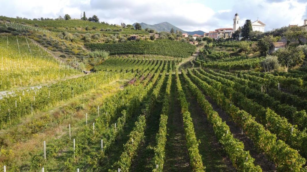 Al Vigneto Apartamento Sestri Levante Exterior foto